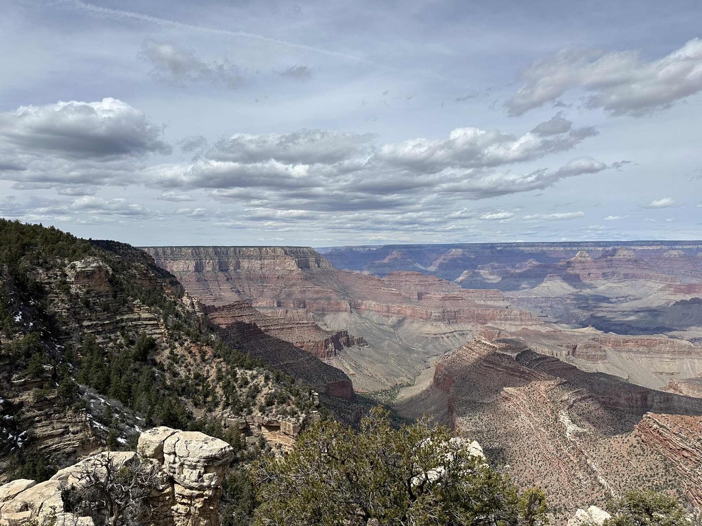 11B85D16-EA7A-4502-994D-D86155AF008F_1_102_o