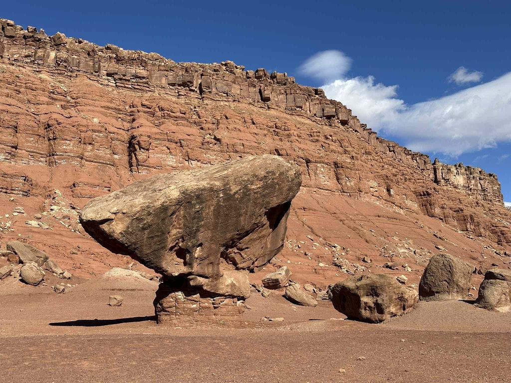 1B5F86D8-D4CE-4A8B-9DDE-CB7EE6B0475F_1_102_o