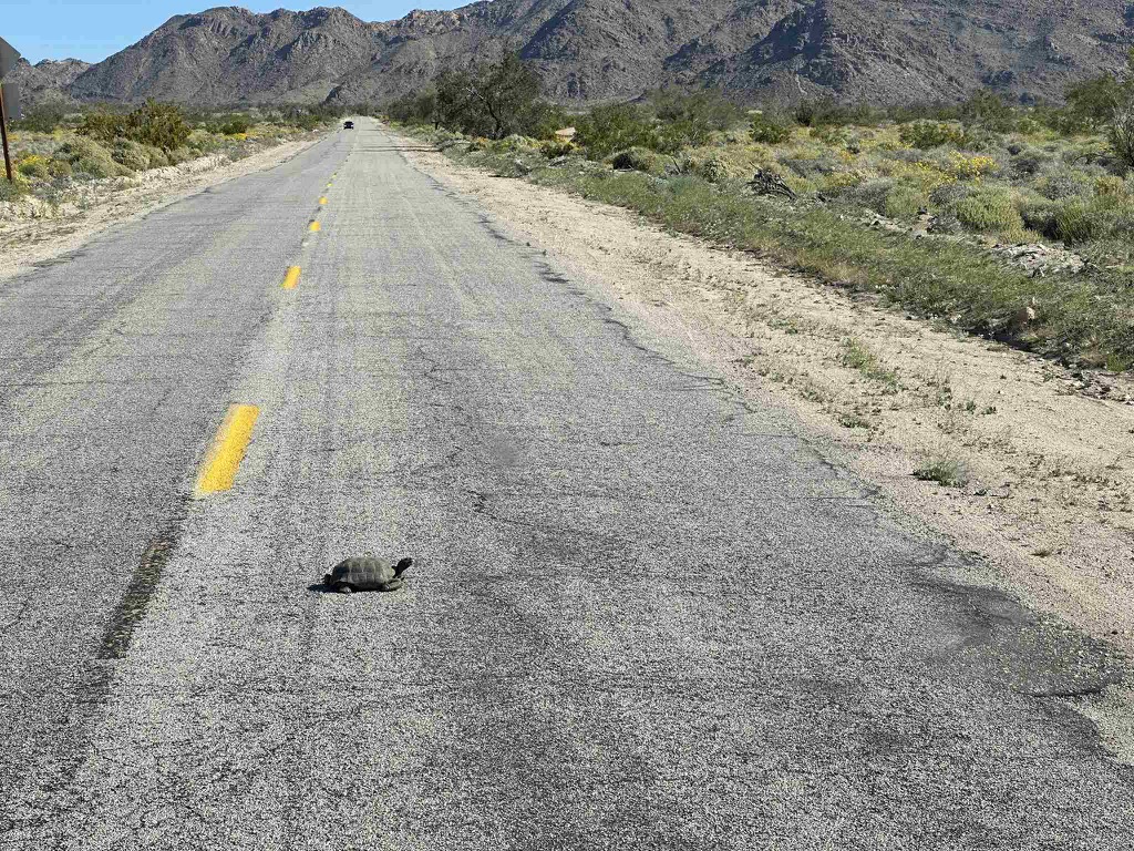 2107F637-6780-4D88-8C29-F0A3D7EF57E8_1_102_o