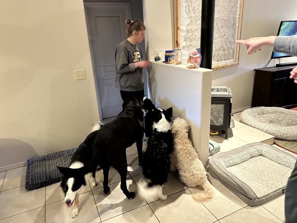 40D929D0-8A66-4E11-9E14-2EF3D6B5A3D1_1_105_c