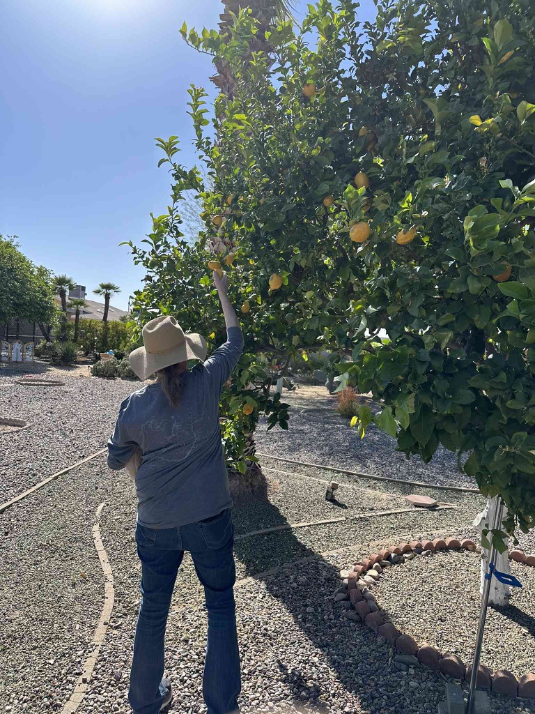 471FD420-A82C-419D-9374-215399D42FC4_1_102_o