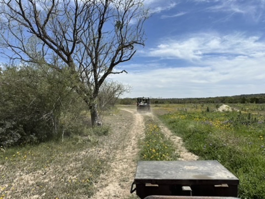 4AAC8C78-2E44-4EA9-982E-0FEDB7AD817A_4_5005_c