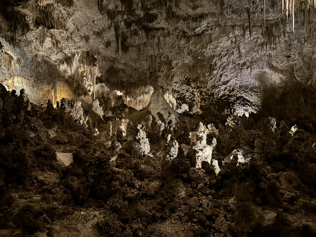 56517AAC-D977-41CB-885E-076495266DCF_1_105_c