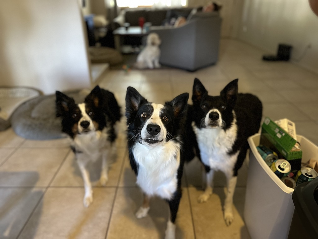 6437ADBA-C995-4E39-B461-CEE7D993CDC0_1_105_c 1