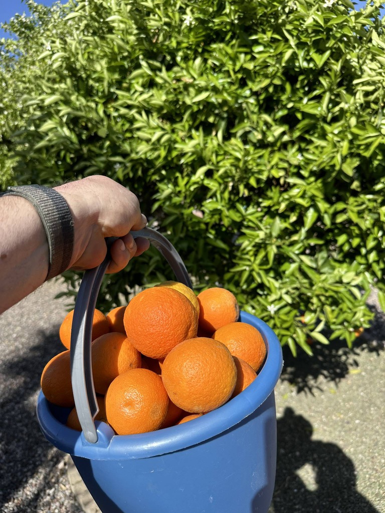 9814B747-B967-4027-A583-5D09F915F098_1_102_o