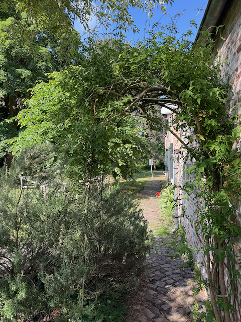 A cool little garden in Bruge