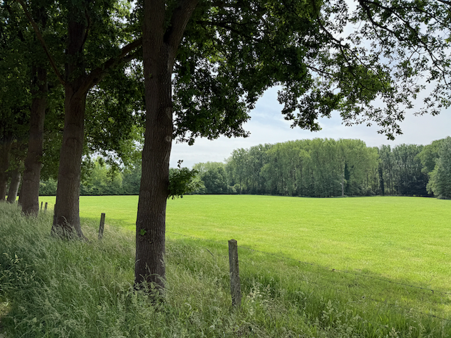 A field along the path