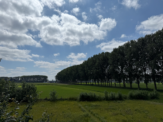 A landscape view coming out of Bruge