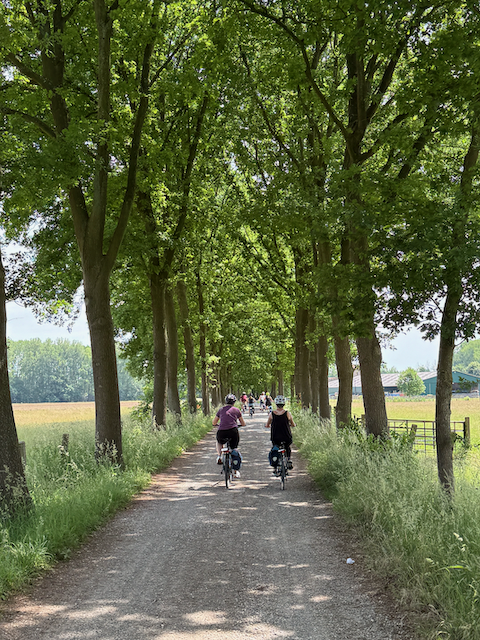 A tree lined path coming out of Ghent