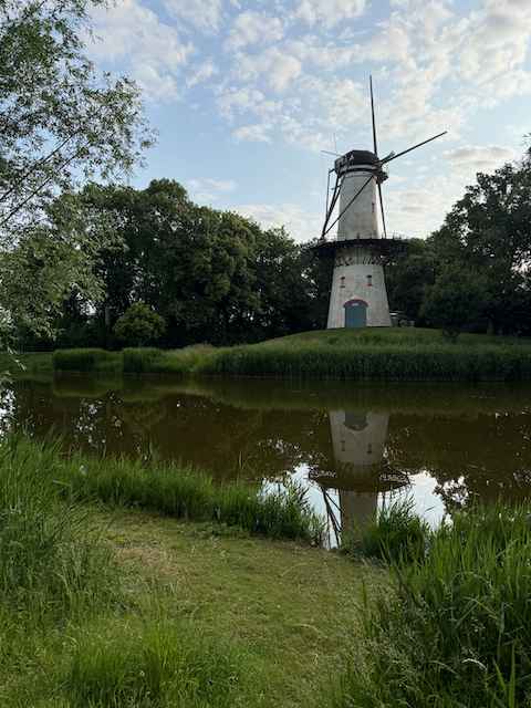 Another view of Tholen's windmill on my morning walk