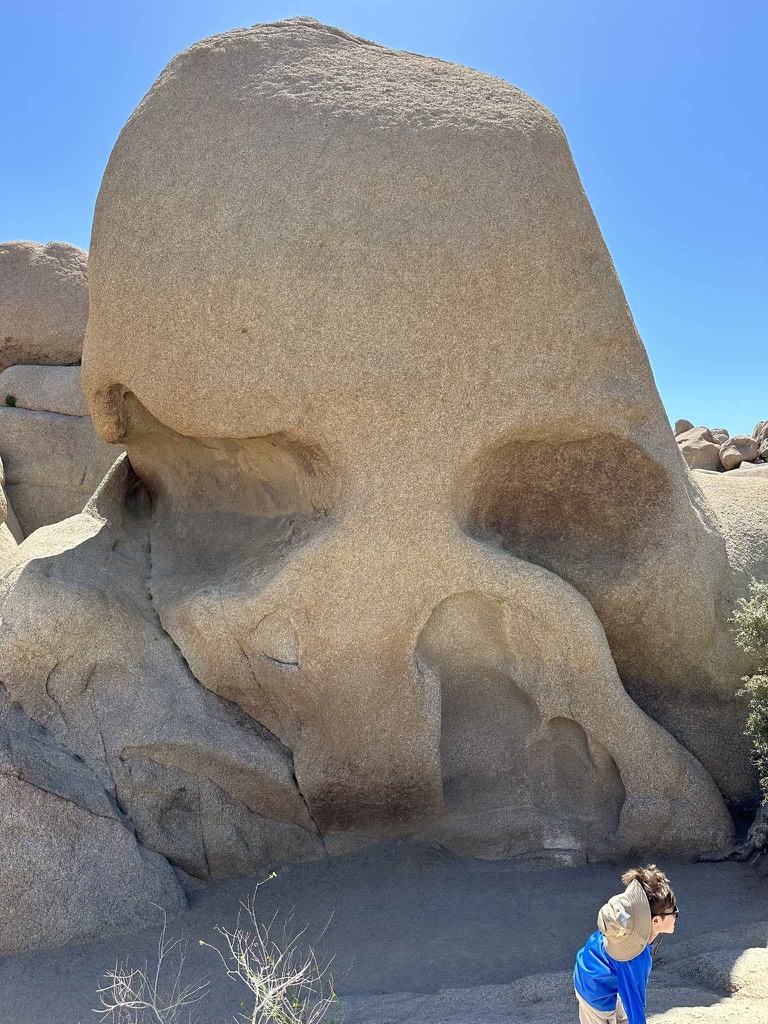 B0072E1C-118E-4B84-B77B-7E5025E43868_1_102_o