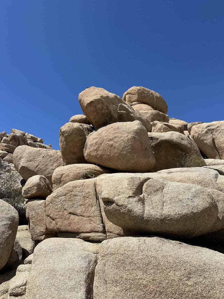 B4546B3E-E0AE-421D-BD64-93FBA85C8930_1_102_o