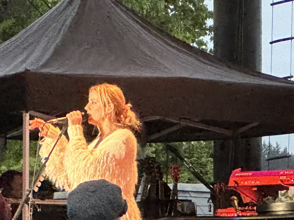 C3D62C84-7BD8-4340-B87A-3E34FB7FA0F2_1_105_c