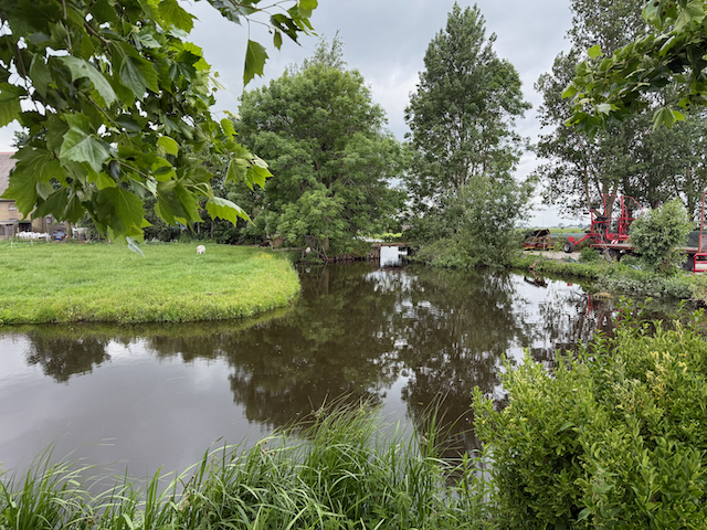 Canals are everywhere and quite calm.
