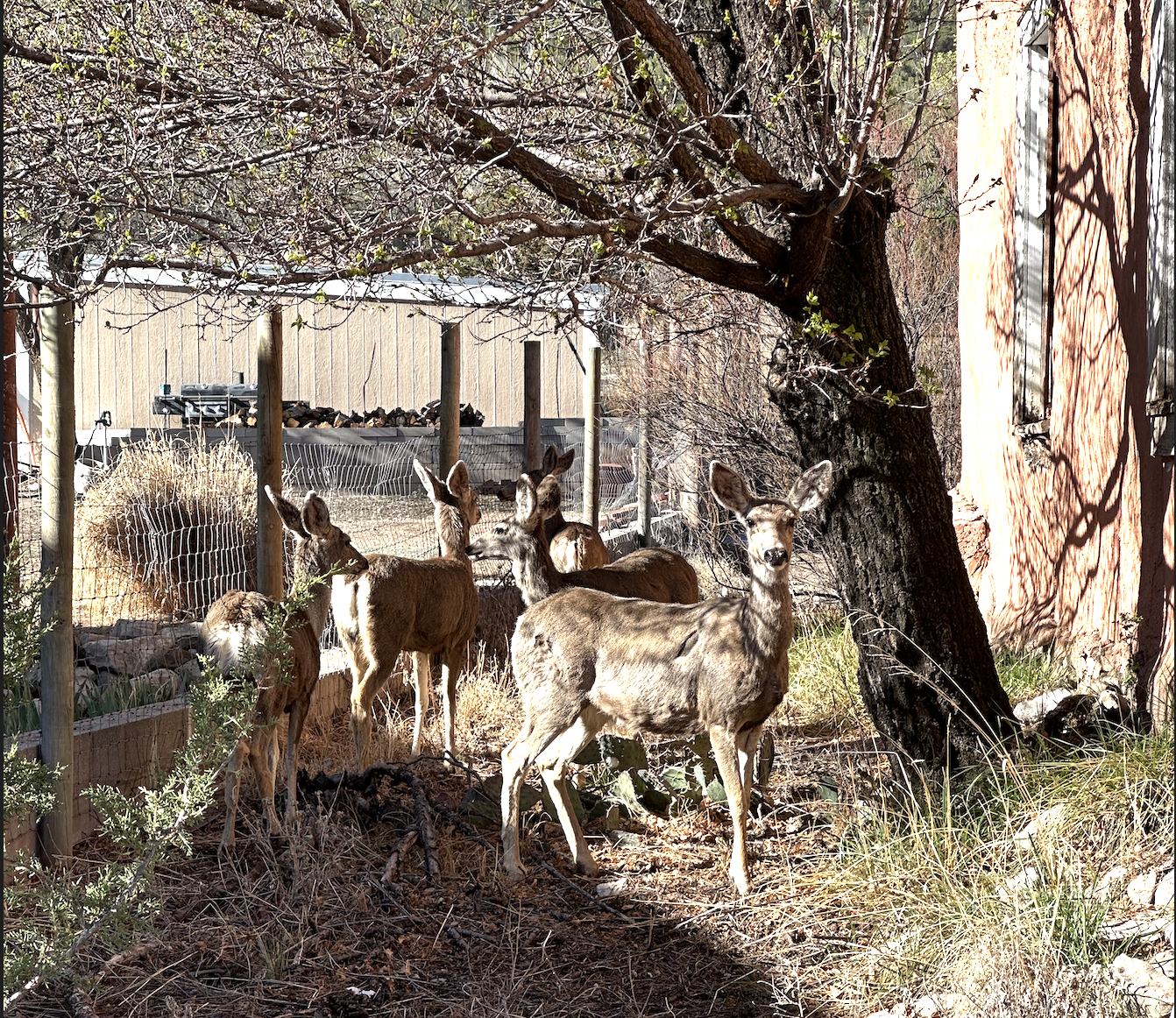 CleanShot 2024-04-11 at 07.39.53@2x