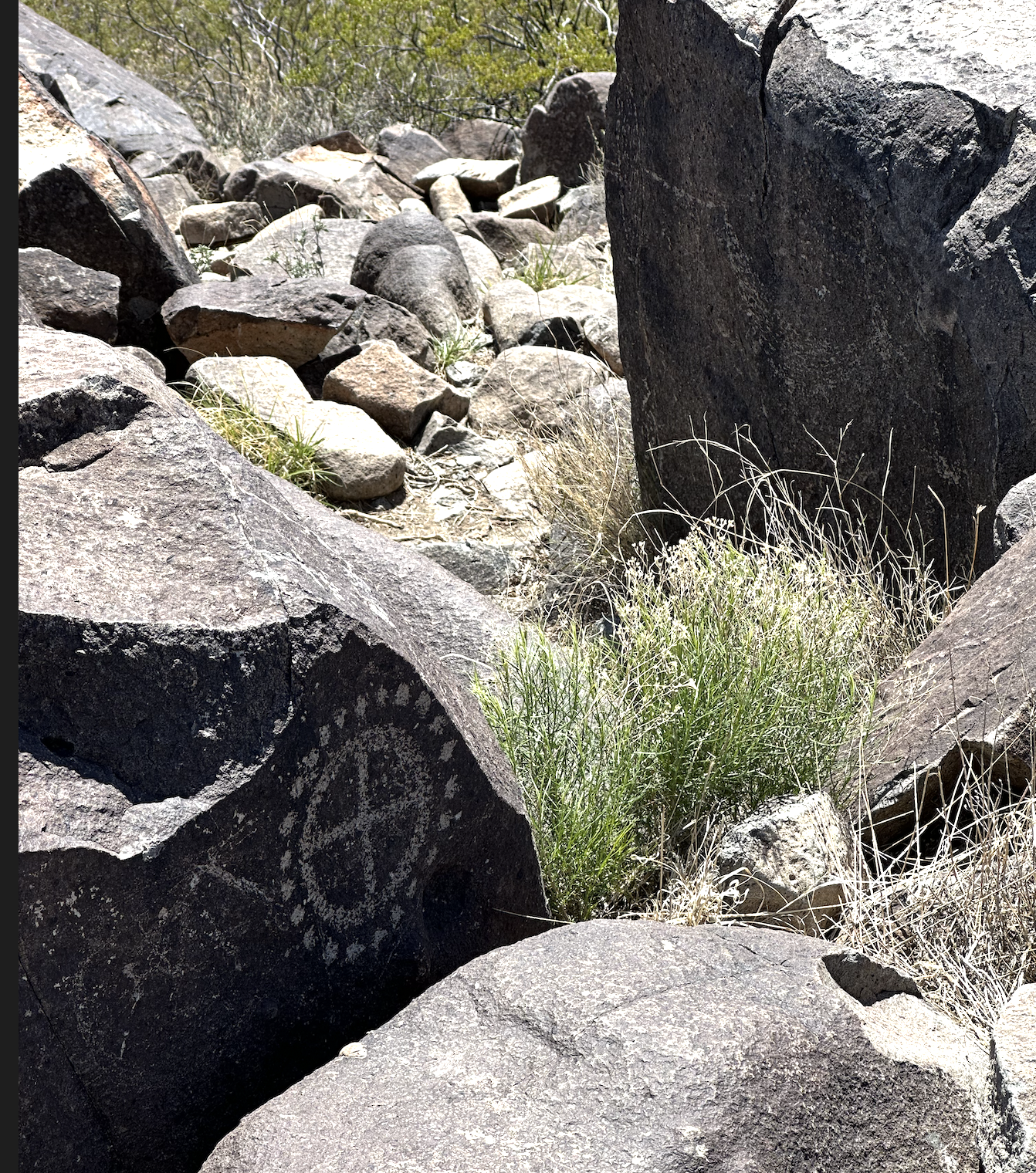 CleanShot 2024-04-11 at 07.41.24@2x