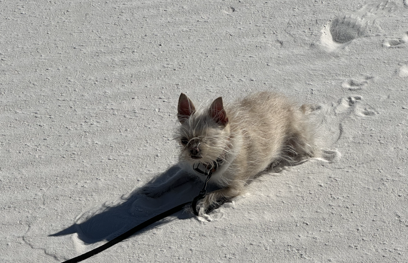 CleanShot 2024-04-11 at 07.42.25@2x