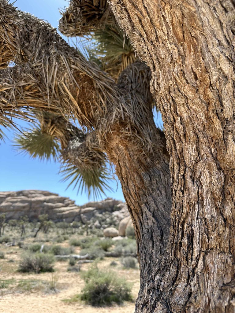 D77F1823-BFCA-4B62-8A50-890644493812_1_102_o