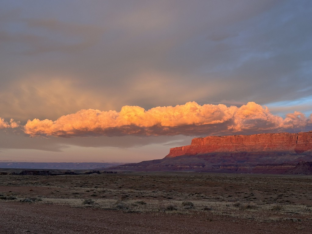 D7C442B9-0C66-4174-86BD-09619FF3AC11_1_102_o