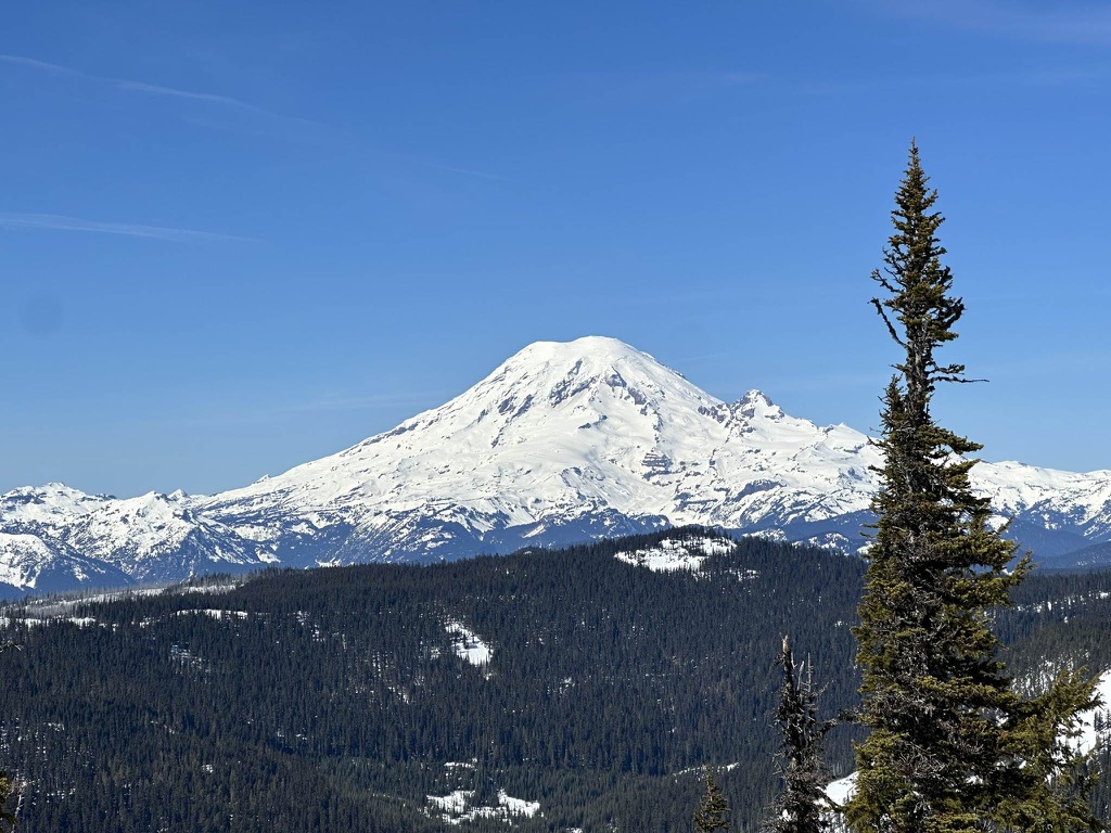 DB25A8F0-8AAE-4858-9CBA-102377482D99_1_102_o