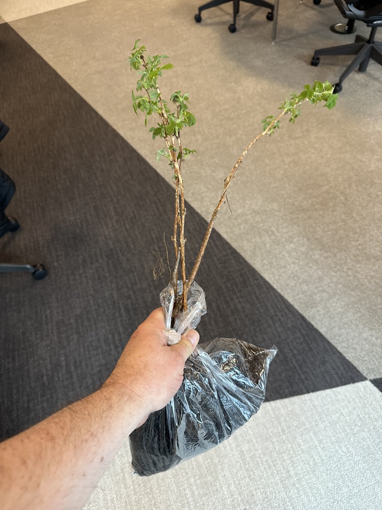 E23D4628-B9A5-42AA-951A-560B15C2903B_1_105_c