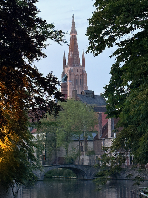 Golden hour peeking through the trees—Bruges’ Church of Our Lady watching over the city.