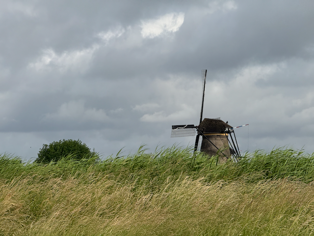 Holland really does have windmills