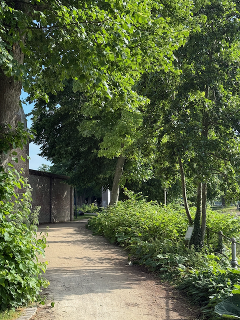 I went for an early morning walk in Bruge before every on got up