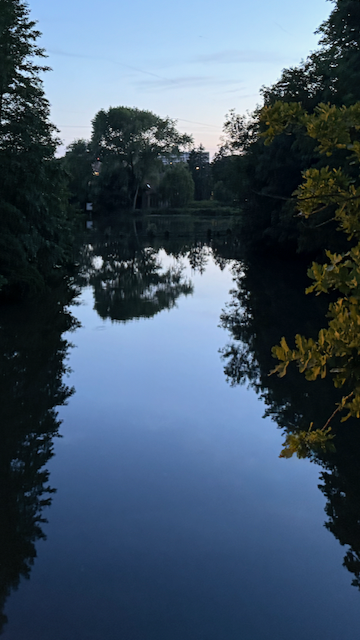 Mirror still and framed in green—this quiet Bruges canal feels like a secret kept by the trees.