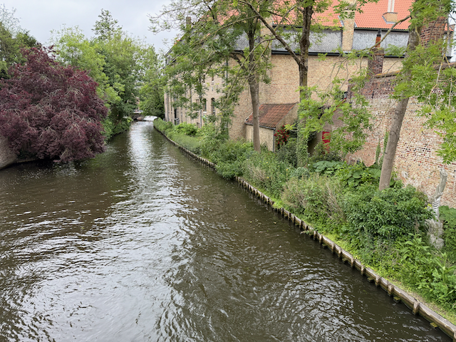 More Canal's opn my morning walk.
