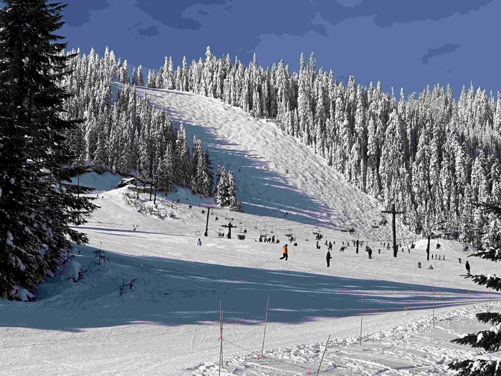 Pasted image 20240115162712 1