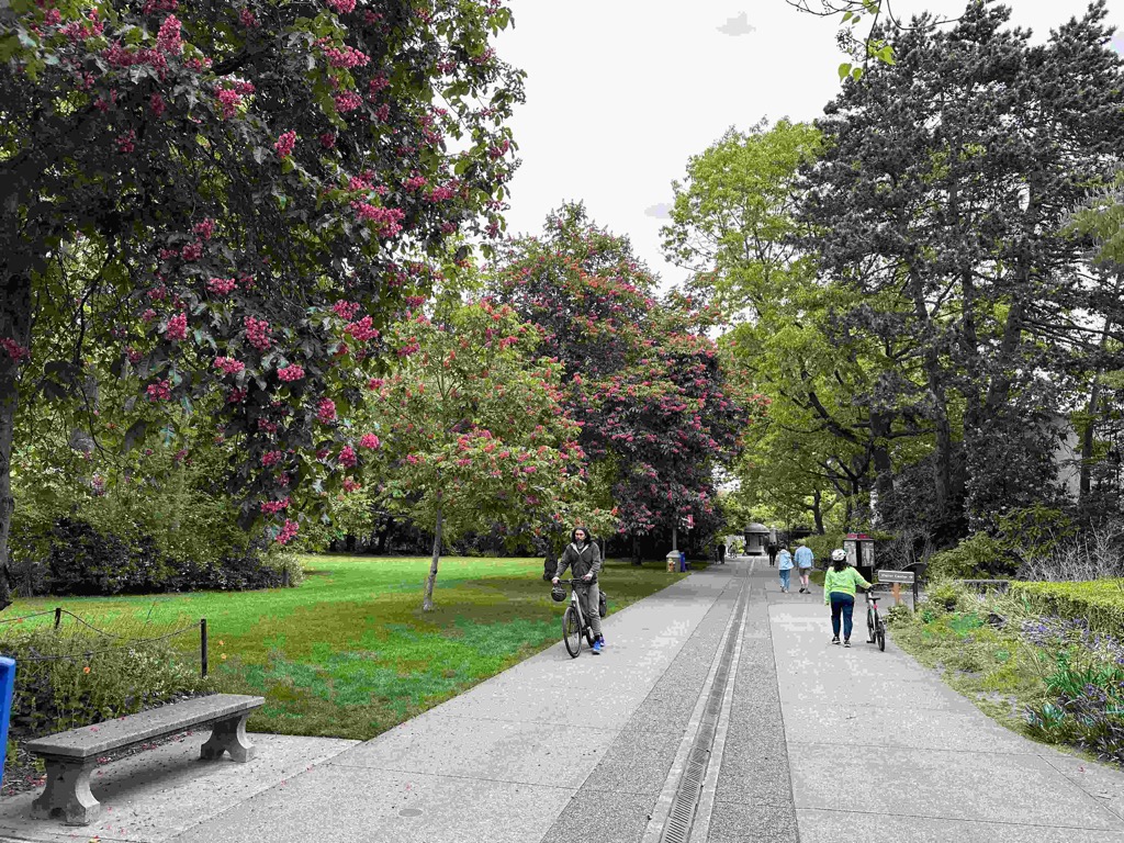 Pasted image 20240519093028