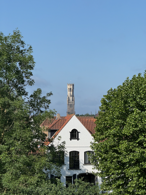 The belfy in the distance.  Bruge is small, but still pretty big.