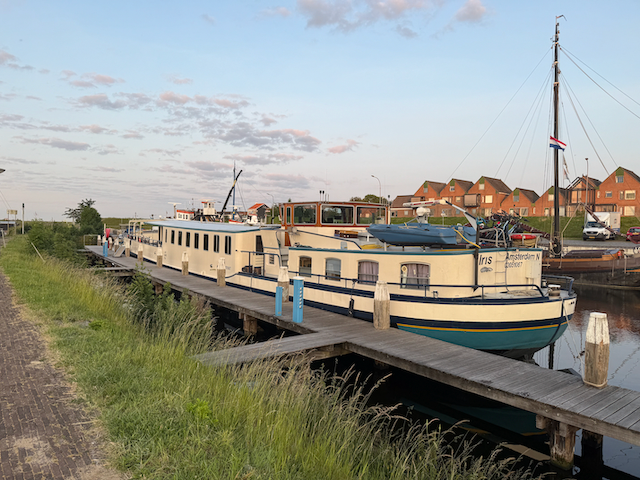 The iris at her moorings in Tholen